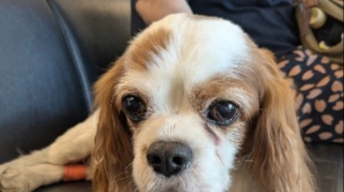 半年検診です🏥