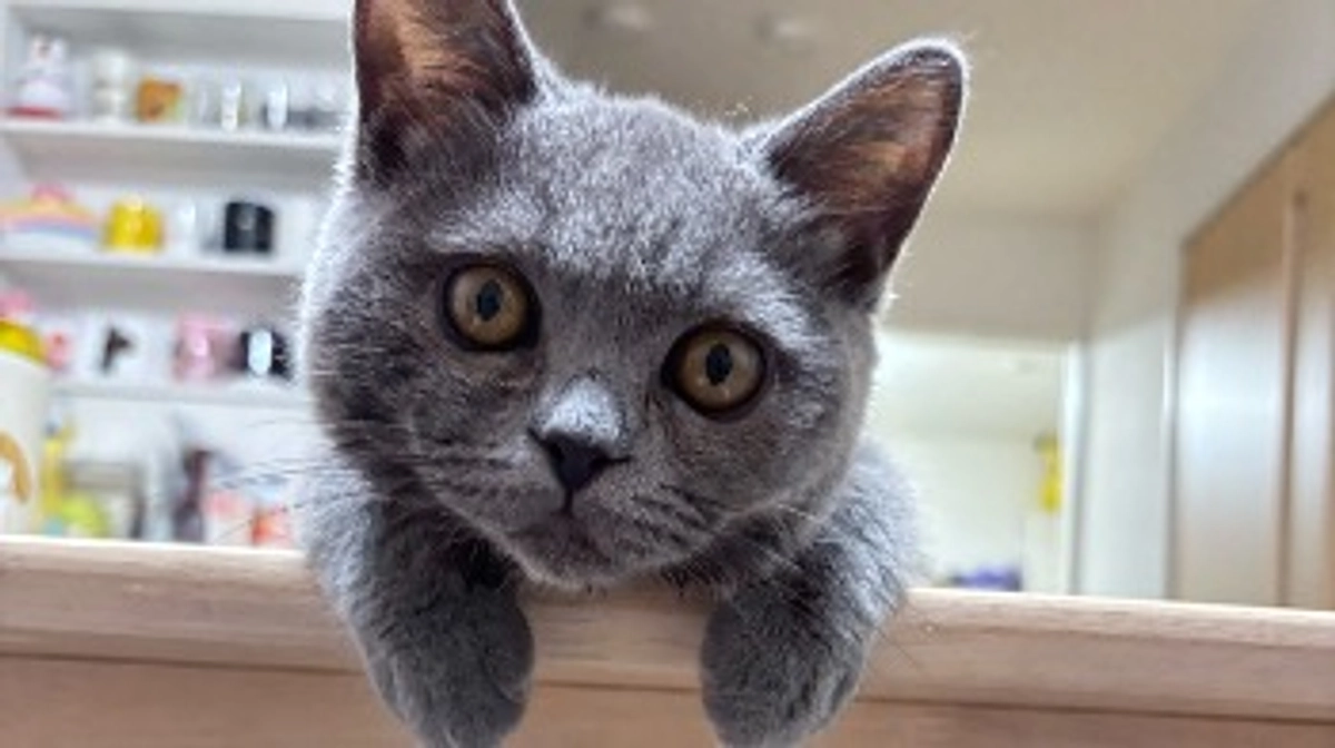 新薬切り替え後の経過報告