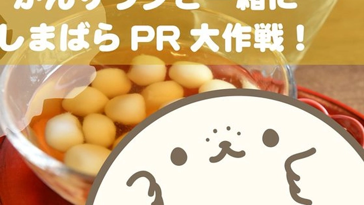 長崎県”島原”を広めたい！かんザラシと一緒に島原PR大作戦！