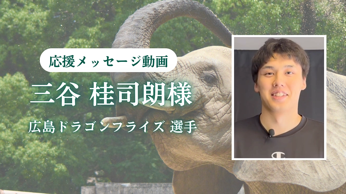 広島ドラゴンフライズ所属の三谷 桂司朗選手から、応援メッセージが届きました！
