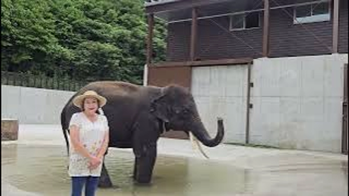 未来へ紡ぐゴリラプロジェクトスペシャル応援動画〜市原ぞうの国園長 坂本 小百合さま〜