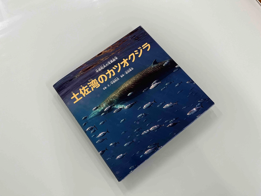 土佐湾のカツオクジラ