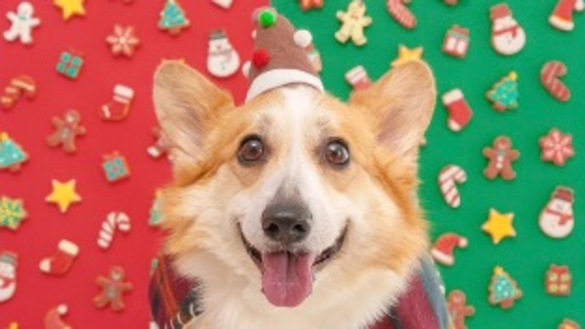 リターン送付のお知らせとお願い