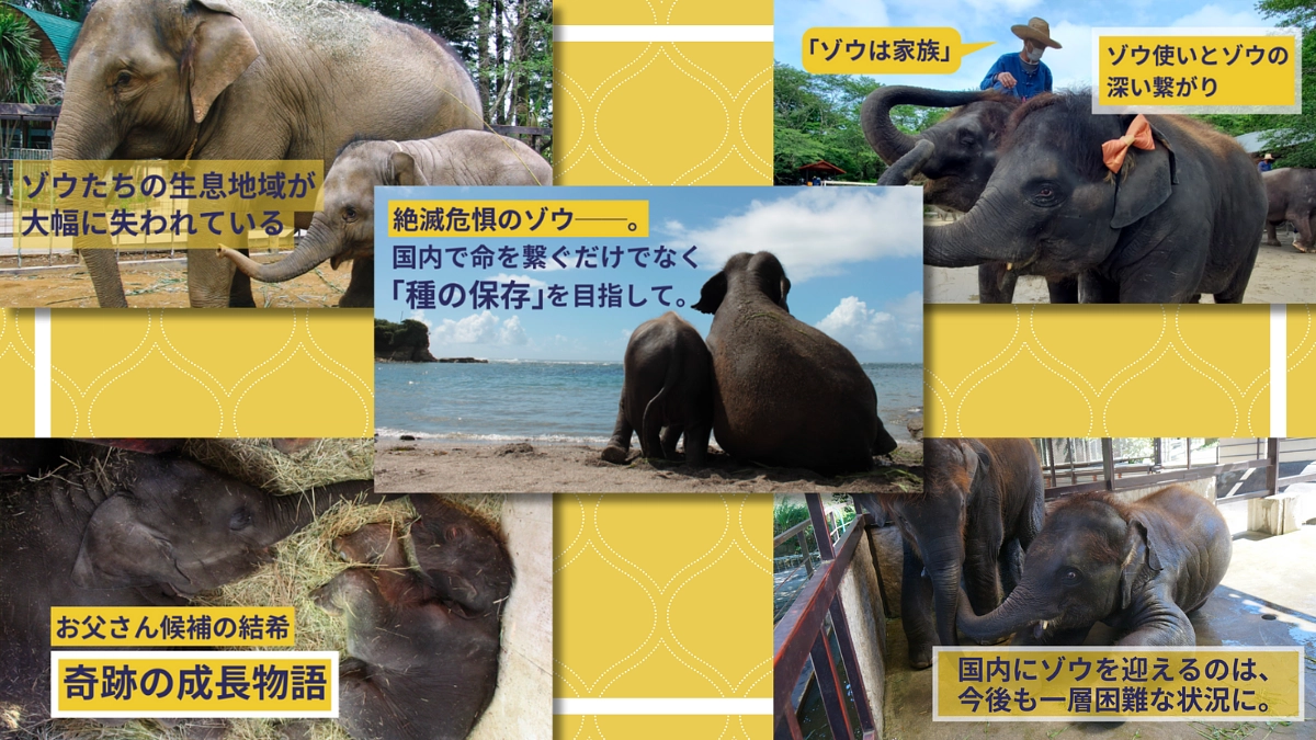 閲覧の多かったものや改めて読んでいただきたい活動報告をピックアップしました！ぜひご覧ください。