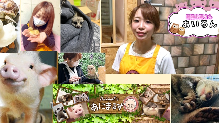 動物の"癒しの力"に触れる機会。「出張あにまるず」を始めます！