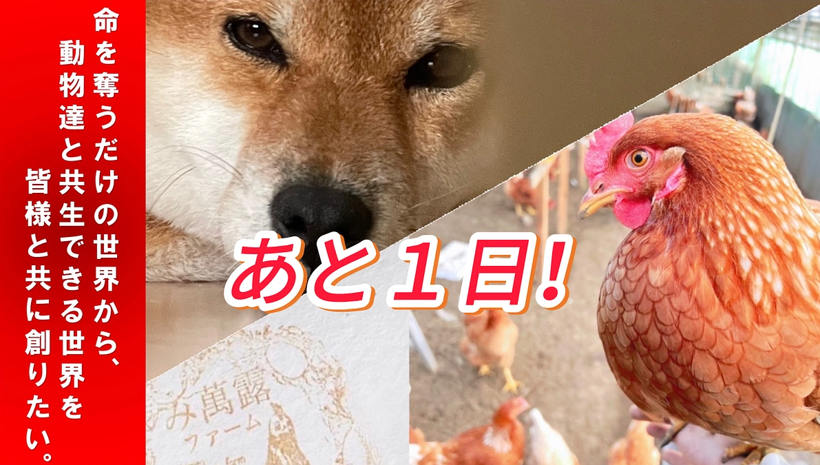 きな子トライアルへ