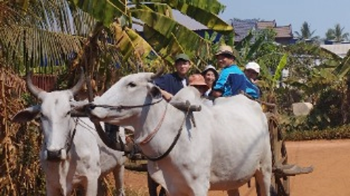 活動報告7日目　たくみ日本語学校と農村への訪問