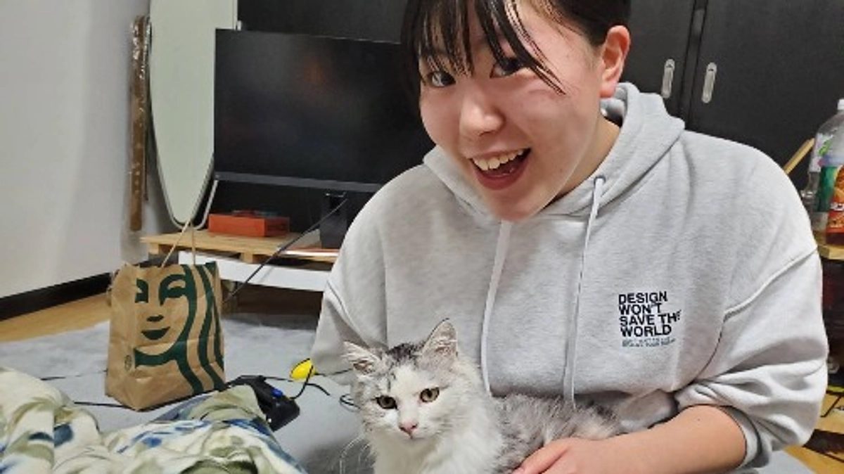 猫が集まるお宅