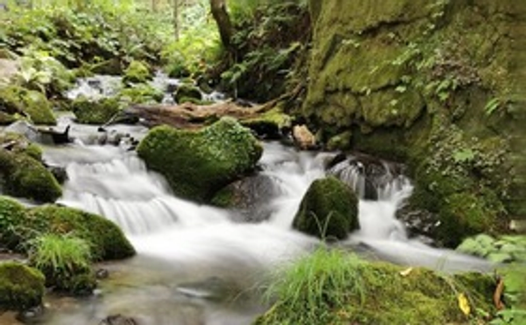 ピンポンDJ３０００