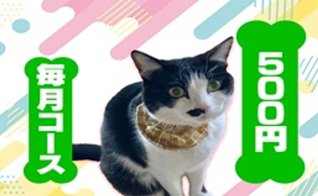 毎月500円コース