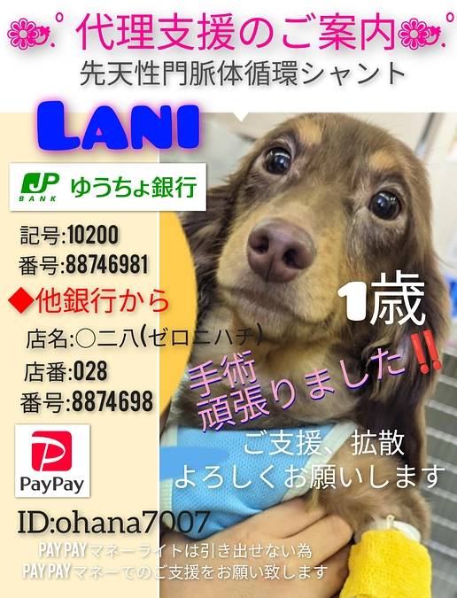 残り14日。代理支援のお知らせ。