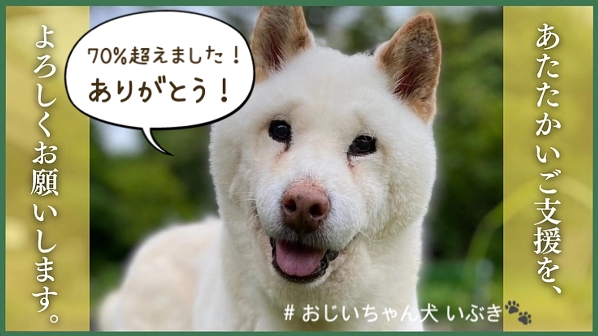 【感謝‼︎ 目標金額の70%超えました！】