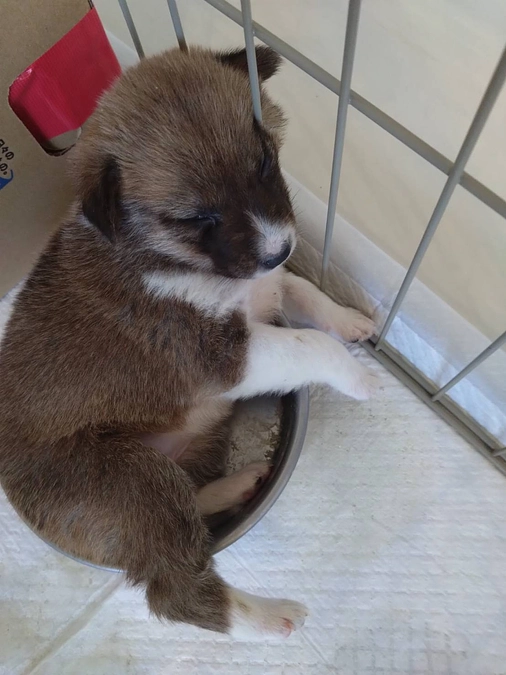 感謝と共にお届けします、想いのつまった返礼品