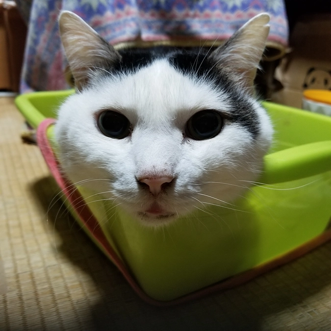 病院行ってきました。