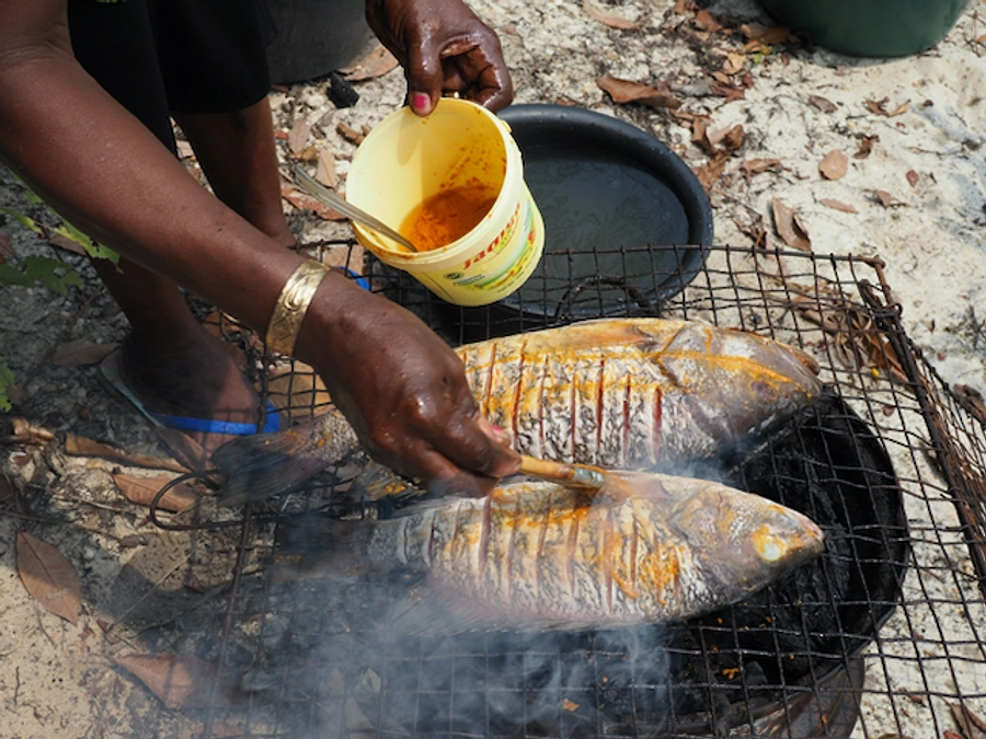 漁師さんがマナティーを守る理由