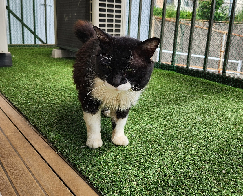 スパイス最後の一日、そして葬儀部での火葬を終えて