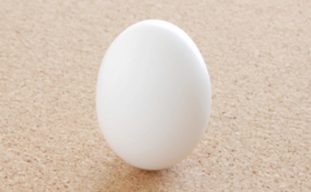 たまごコース【支援のみ】