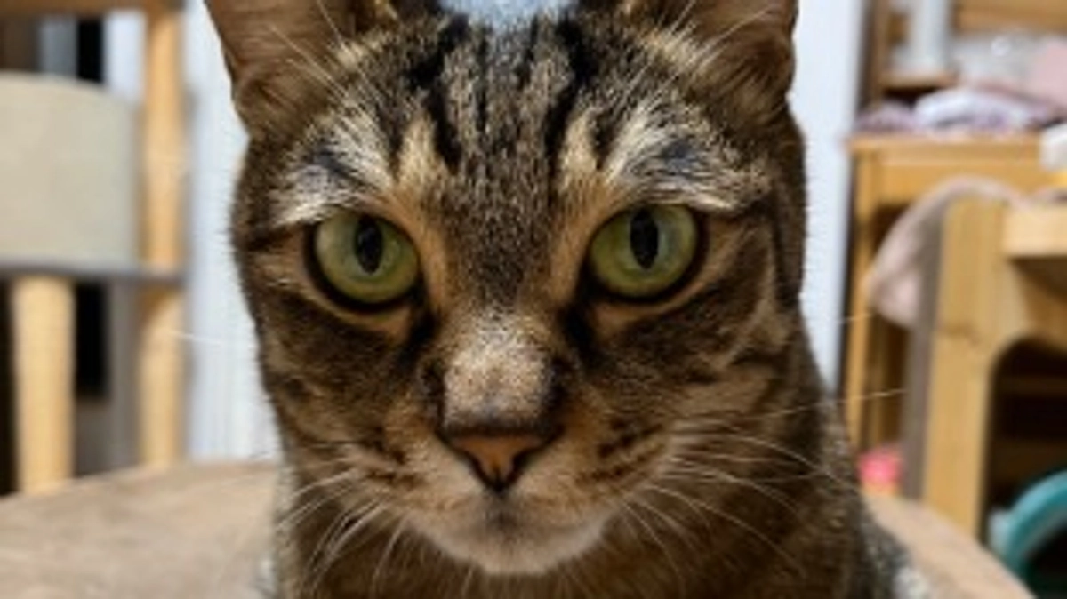 【今日のなっちゃん】5月14日