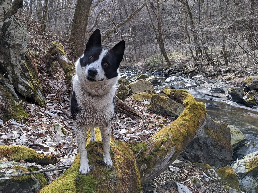 お礼メッセージ：開始2日目で30％に到達しました。
