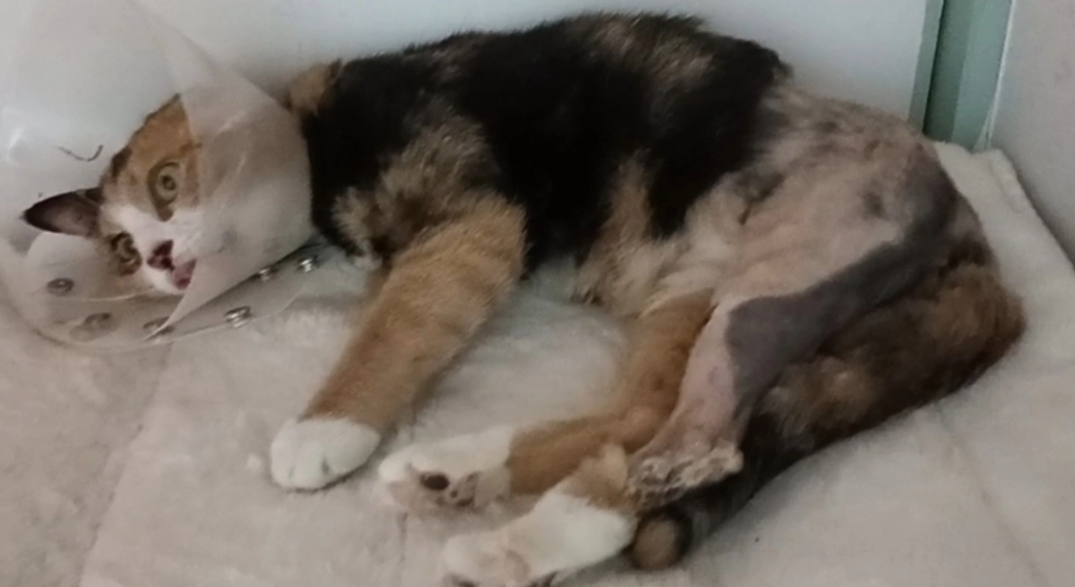 寝返りを打ってくれたので(⁠^⁠^⁠)