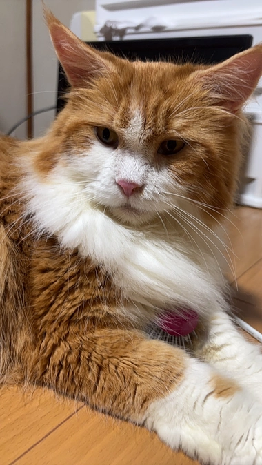 抗がん剤治療が3回終わりました。