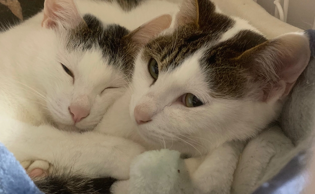 感謝のメールとお写真