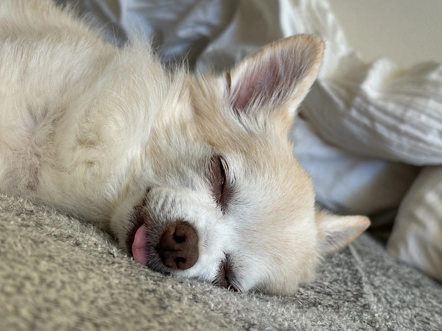 思い出を笑って振り返る奇跡