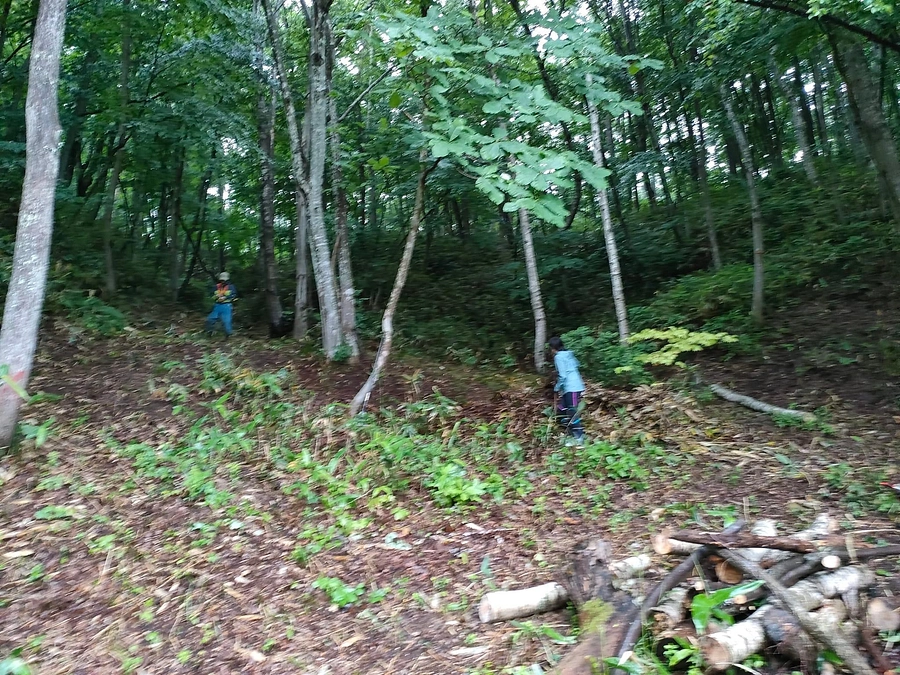 日本のチカラ　テレビ放送のご案内