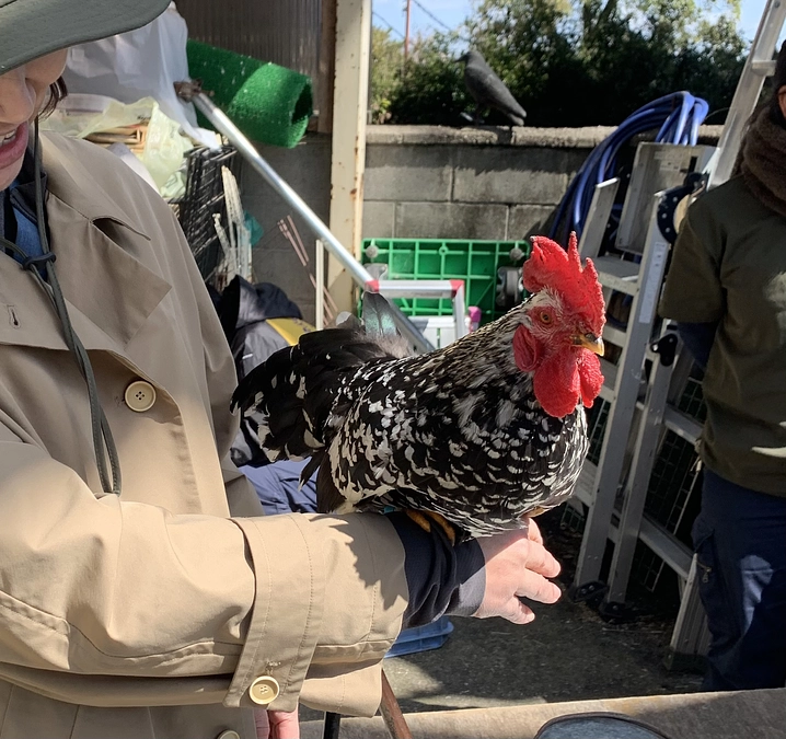 1番遠い往診先へ