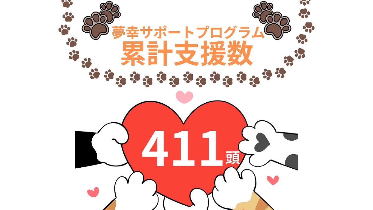 1月も皆様のおかげで119頭の猫ちゃんに支援できました！