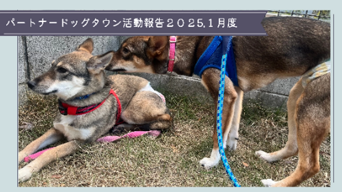 活動報告2025年1月度