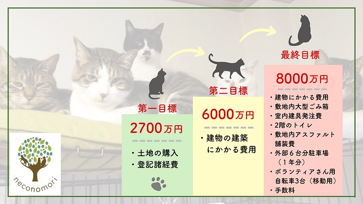 「シン・猫の森プロジェクト」〜シニア猫にも専用の部屋を作りたい〜 9枚目