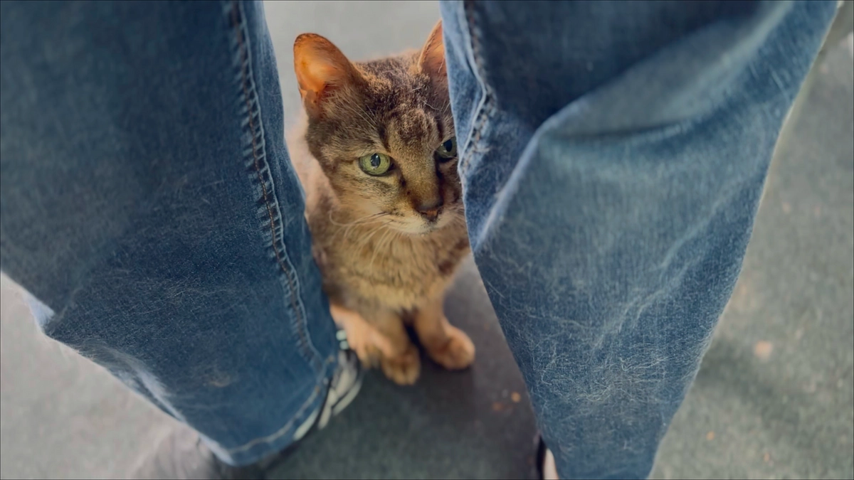 小さなお別れ、大きなお別れ