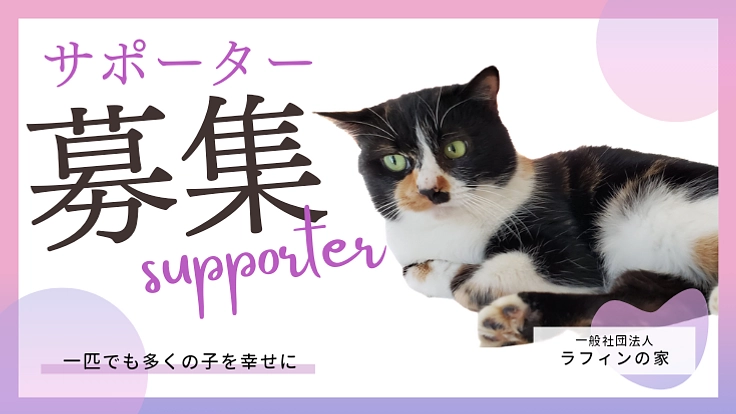 一匹でも多くの命を幸せにしたい｜ラフィンの家サポーター募集中
