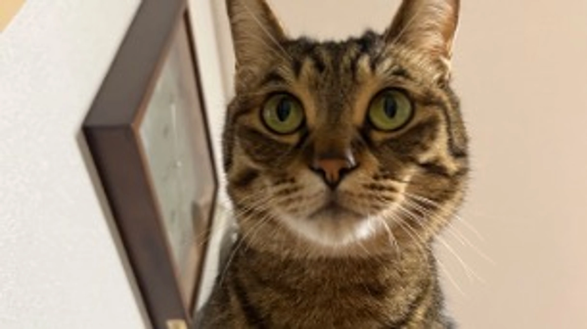 【今日なっちゃん】6月4日