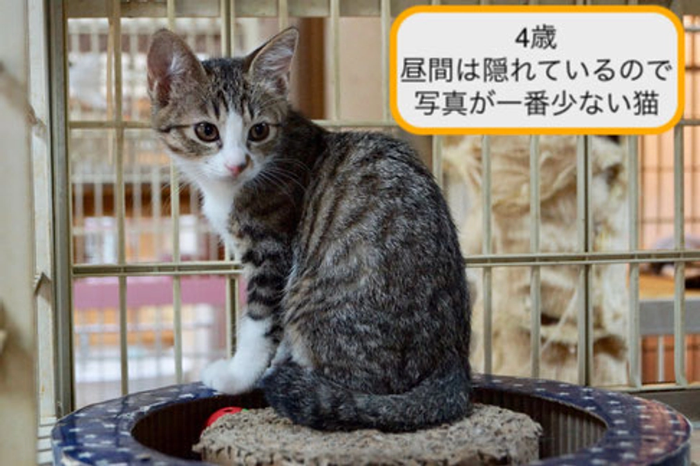 2025年報告とお知らせ・7月分