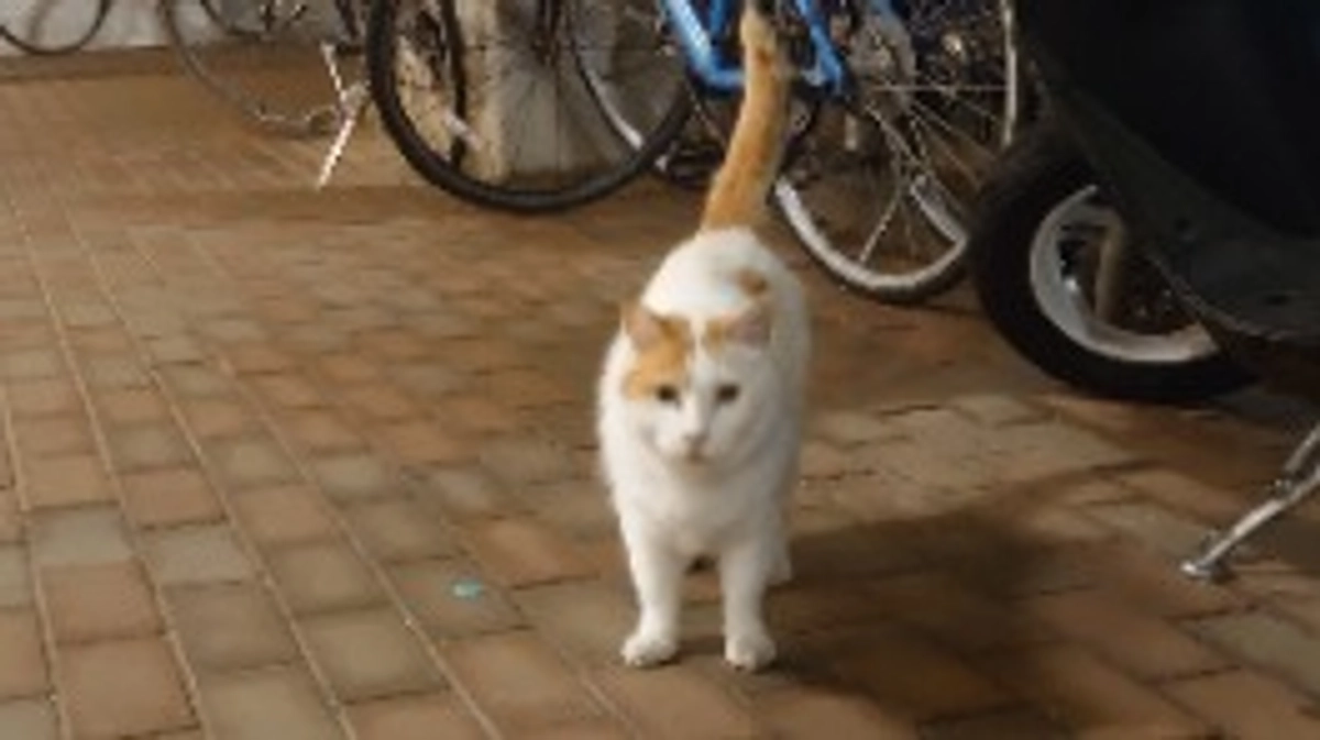 支援金での購入品