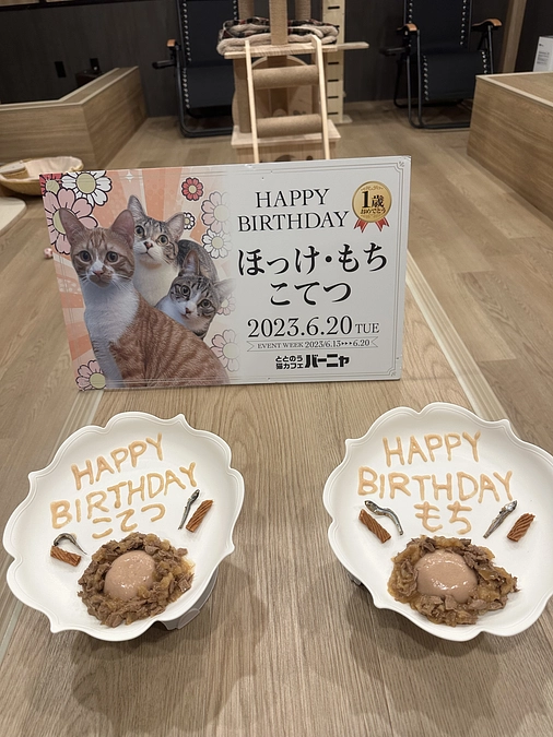 とらちゃんエントリーを終えてご報告！ほっけ・もち・こてつ1歳のbirthday