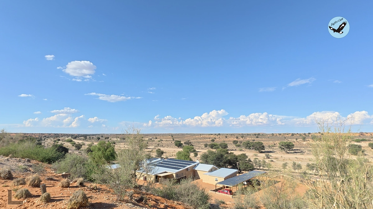 南アフリカのカラハリトランスフロンティアパークに到着