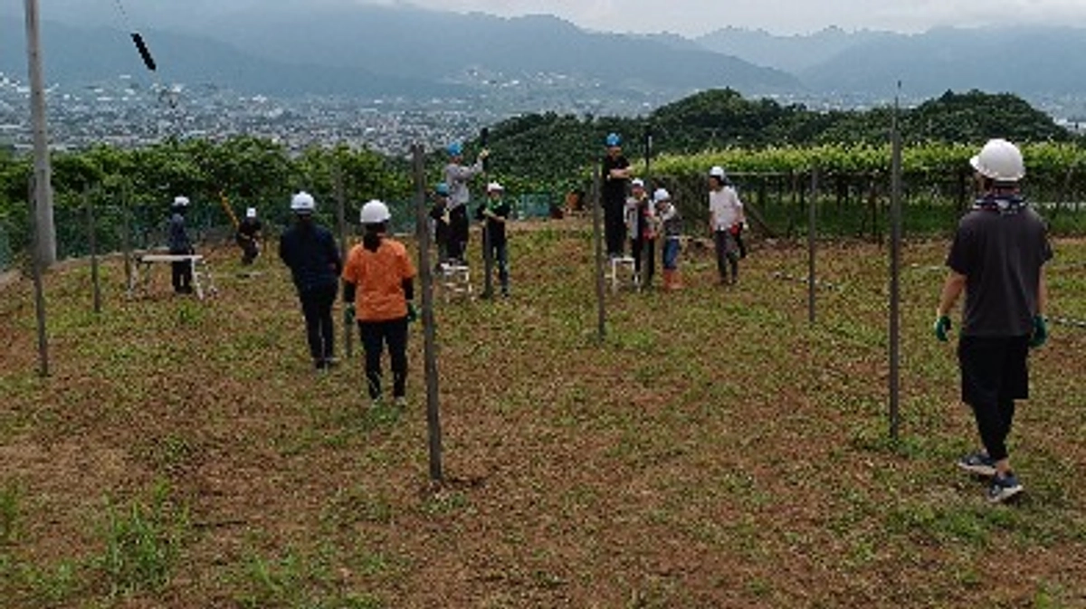 新圃場での垣根設置を行いました