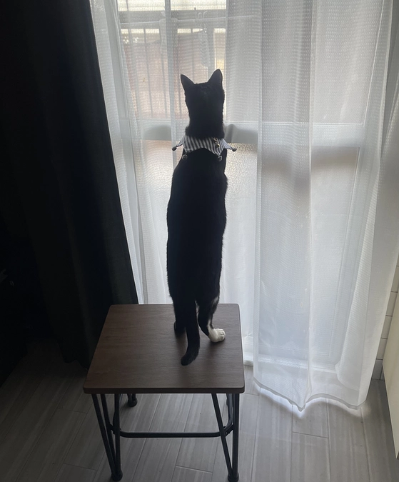 返礼品第2弾について