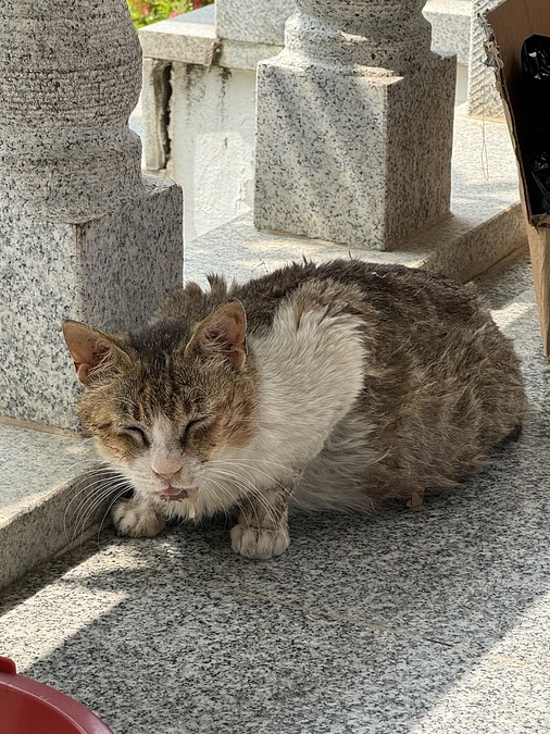 3週間経ちました。