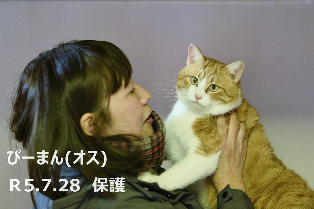 初挑戦のクラウドファンディングがスタートいたしました