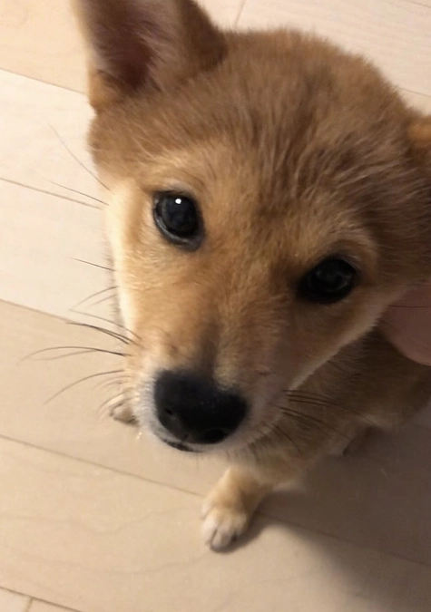 「そら」ってどんな子？