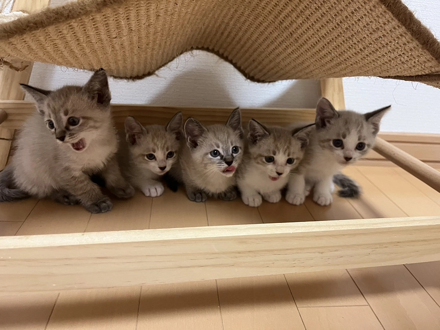 10月末の活動報告