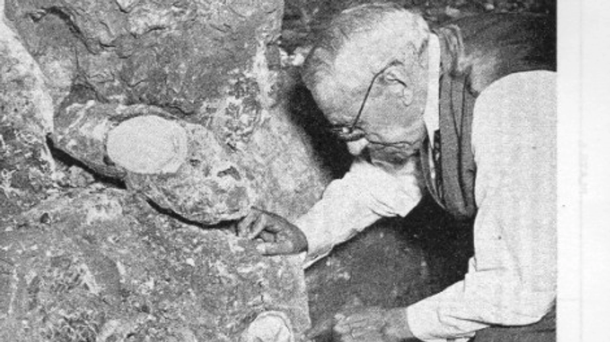 南アフリカの人類学が今も忘れられている