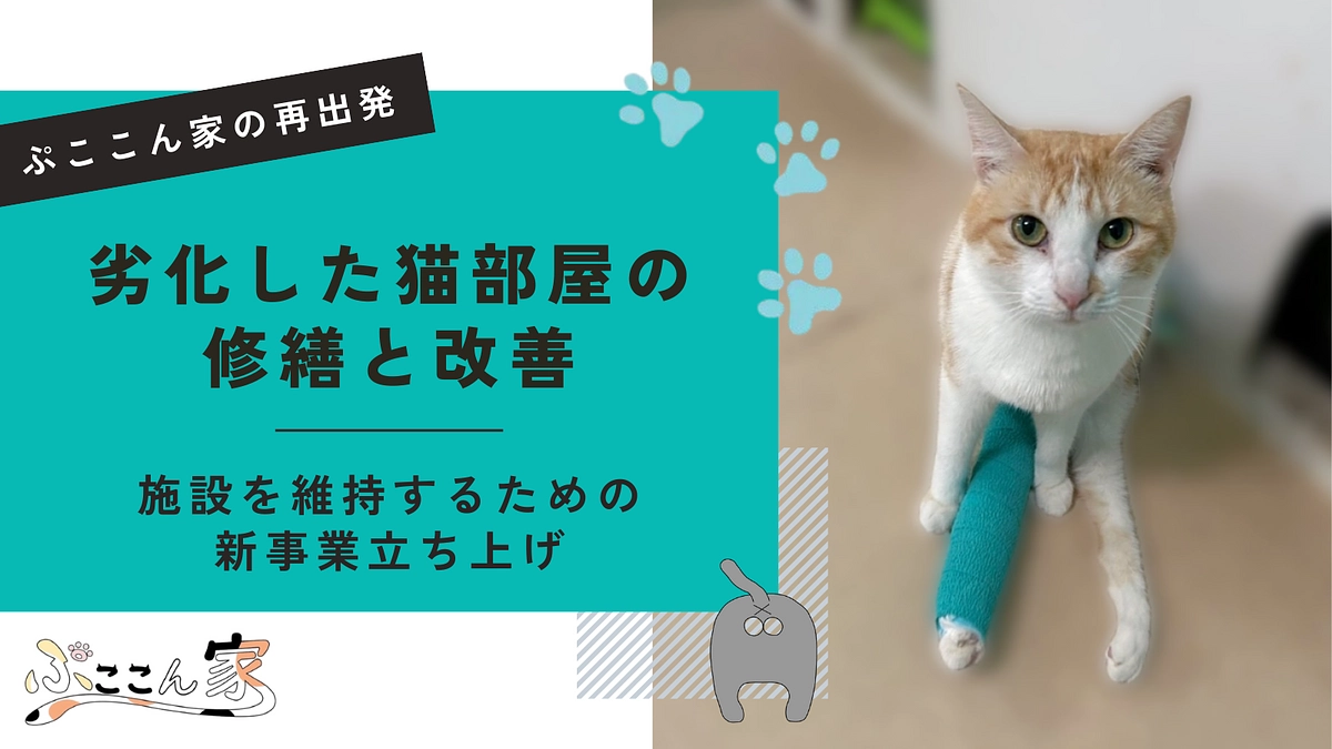 新クラウドファンディング開始のお知らせ｜自分たちの力で、ぷここん家と猫たちの命を守っていくために。