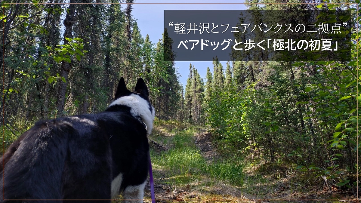“軽井沢とフェアバンクスの二拠点” ベアドッグと歩く「極北の初夏」