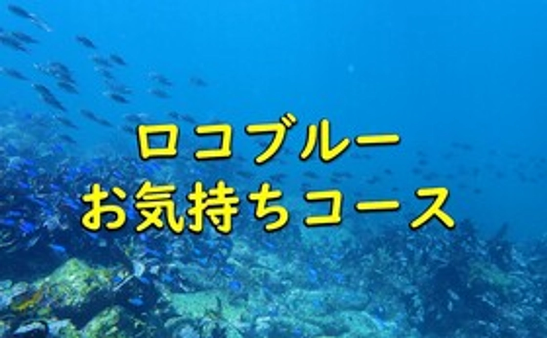 ロコブルーお気持ちコース
