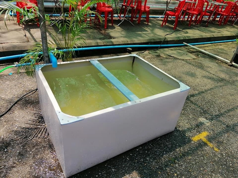 ミャンマーの旧正月水掛け祭り